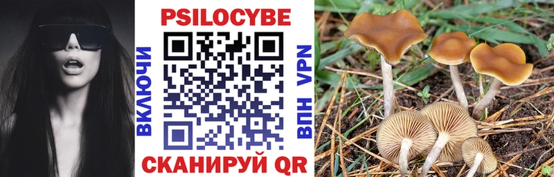 Купить закладки  Вышний Волочёк  Псилоцибиновые грибы Psilocybine cubensis 